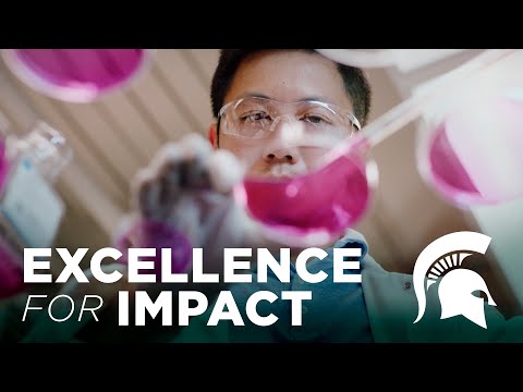 Excellence for impact: Michigan State University