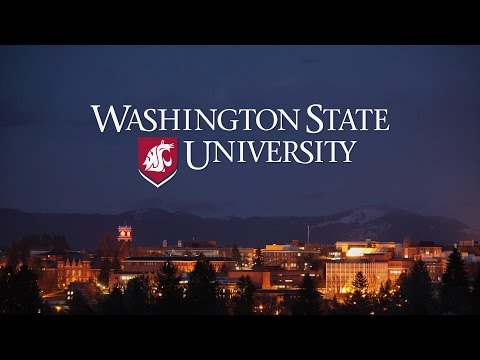 Experience Washington State University