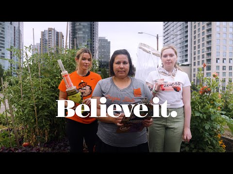 Believe it