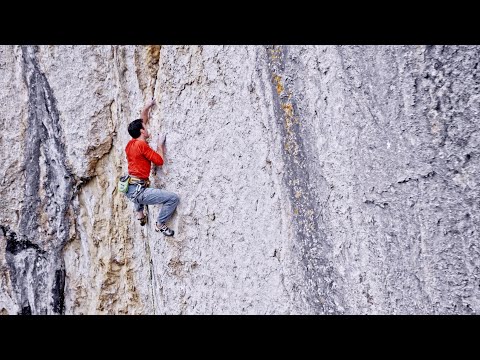 We Dare: University of Houston 2022-2023 National Commercial